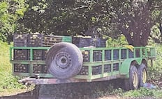 Exige Anticorrupción a Marina denunciar el robo de mangos