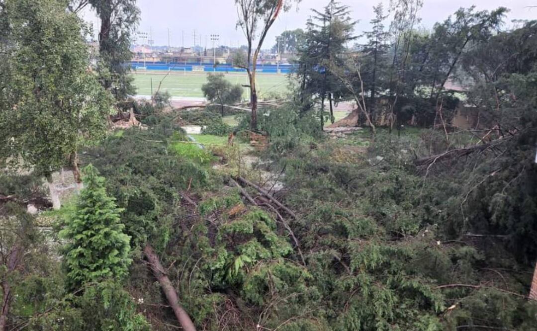 Foto: Especial/El Universal