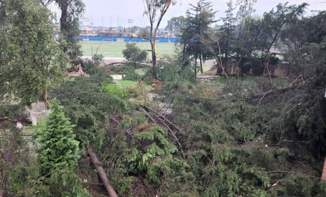 Foto: Especial/El Universal