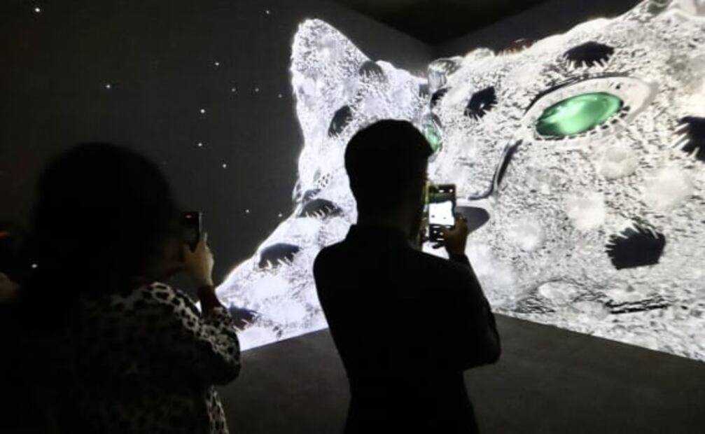 De la princesa Margarita a María Félix: las joyas legendarias de Cartier llegan al Museo Jumex