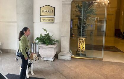 Niegan acceso a mujer con discapacidad visual y su perro guía en Hotel Safi en Monterrey; Samuel García busca apoyarla y promete sanciones ejemplares