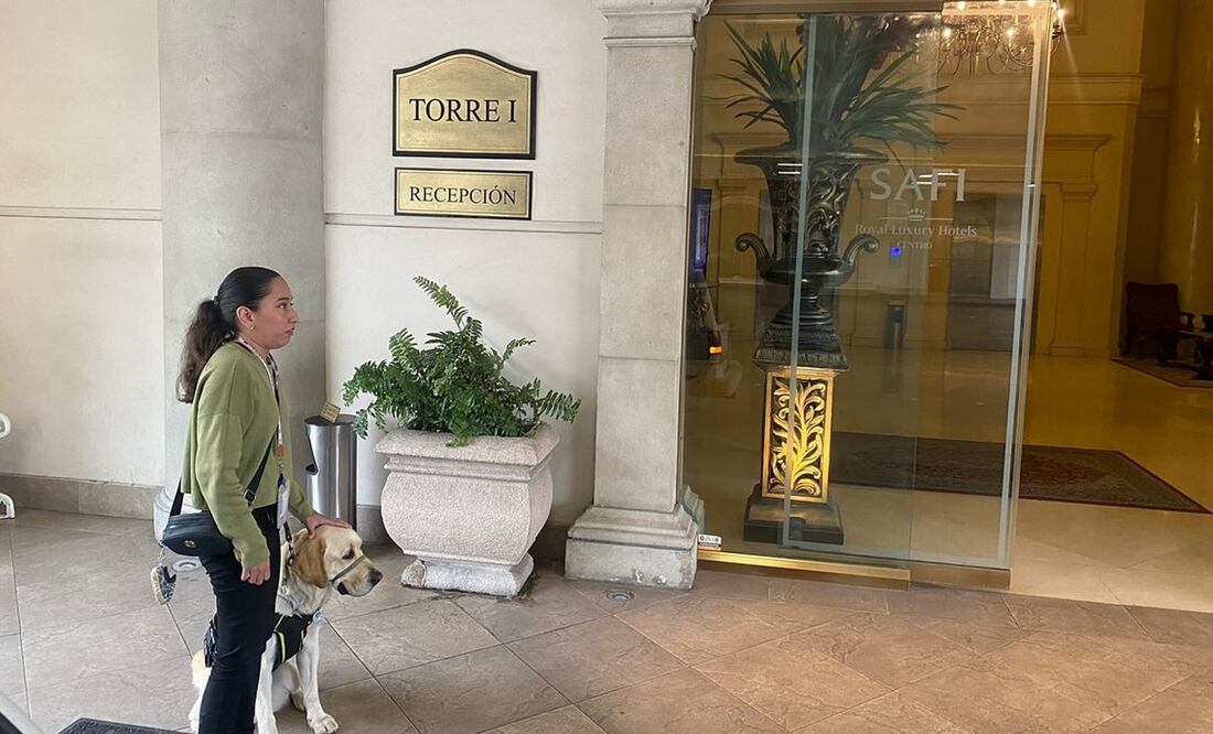 Niegan acceso a mujer con discapacidad visual y su perro guía en hotel de Monterrey. Foto: Redes sociales