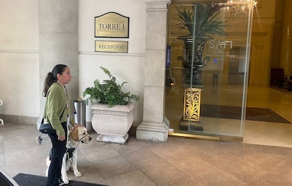 Niegan acceso a mujer con discapacidad visual y su perro guía en Hotel Safi en Monterrey; Samuel García busca apoyarla y promete sanciones ejemplares