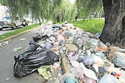 Tirar basura o abandonar desechos en la calle tendrá sanciones más severas; se castigará con arresto de hasta 36 horas