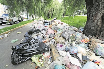 Tirar basura o abandonar desechos en la calle tendrá sanciones más severas; se castigará con arresto de hasta 36 horas