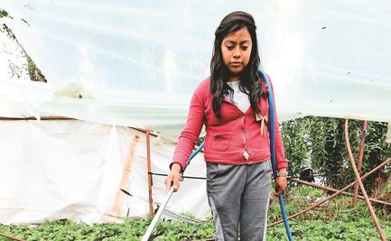 “Va a ser muy difícil que regrese a la escuela”