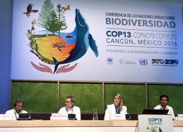 Pérdida de biodiversidad, asunto de seguridad nacional: Mancera