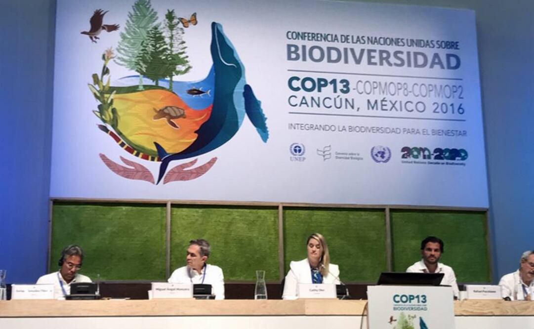 Tomada de @ManceraMiguelMX