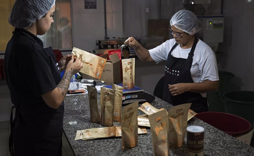Trabajadores empacan café molido de pájaro Jacu en la plantación de café Camocim en Domingos Martins, estado de Espírito Santo, Brasil. Foto: AFP