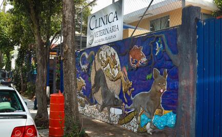 Clínica veterinaria de Tlalpan ha brindado 23 mil atenciones; realizan esterilización gratuita a 300 mascotas