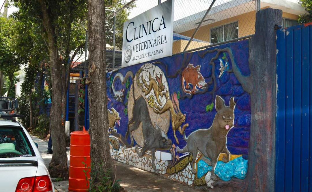 Clínica veterinaria de Tlalpan ha brindado 23 mil atenciones (18/08/2025). Foto: Especial