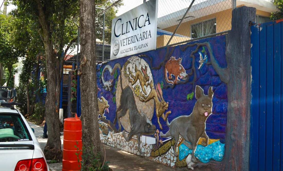 Clínica veterinaria de Tlalpan ha brindado 23 mil atenciones (18/08/2025). Foto: Especial