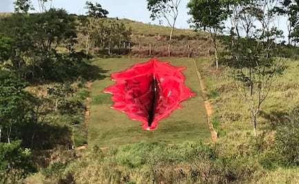 "Diva", una vagina que es arte y polémica