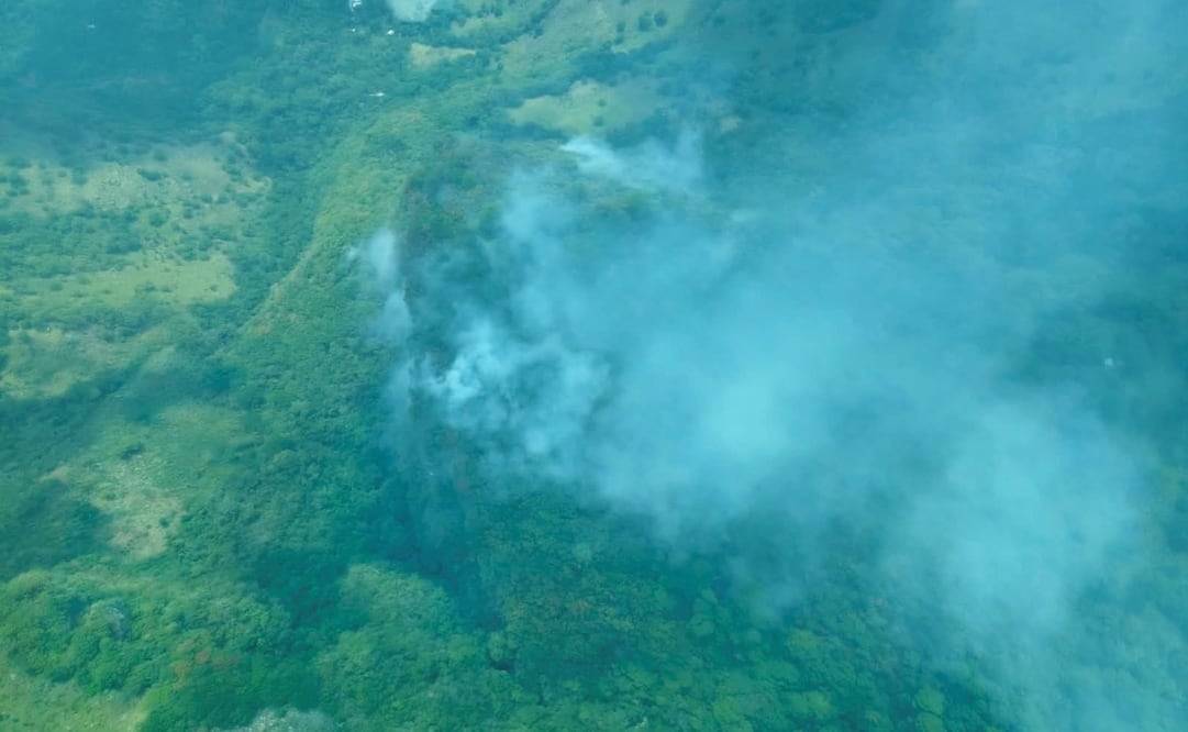 Las llamas han consumido plantaciones de árboles de cedro. Los lugareños estimaron que el fuego ha consumido entre 30 y 40 hectáreas. Foto: X (@pcivilchiapas)