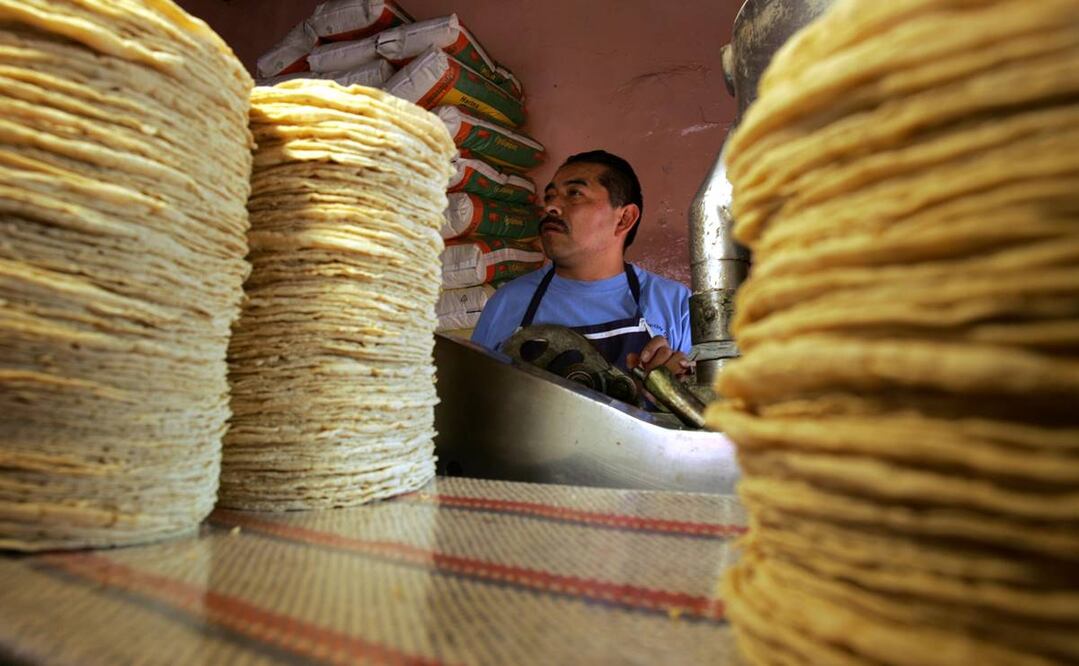 Imagen ilustrativa. Foto: Archivo/EL UNIVERSAL