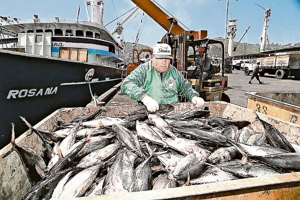 La OMC dio permiso a México para aplicar a EU represalias comerciales luego de que este país le negó la etiqueta dolphin safe al atún nacional (ARCHIVO EL UNIVERSAL)