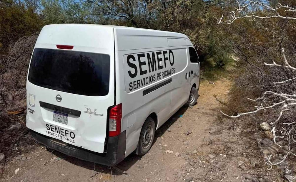 Hallan dos osamentas durante búsqueda de desaparecidos en Mulegé, BCS; suman mil 208 personas no localizadas.
Foto: Especial.