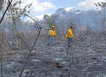 Arde el Cono Sur de Yucatán por incendios forestales fuera de control