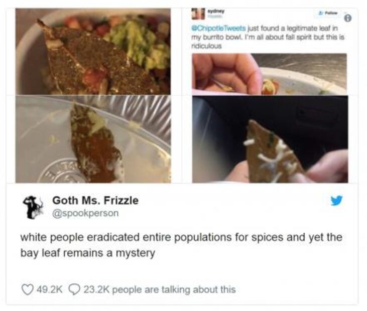 Estadounidenses se indignan al hallar "hojas de árbol" en su comida, sin saber que era laurel