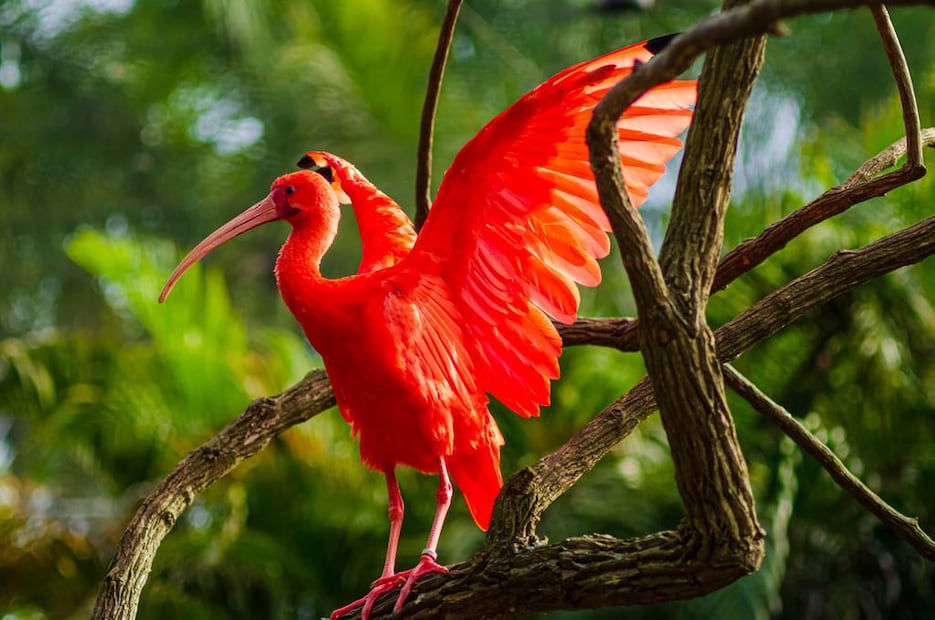Foto: iStock