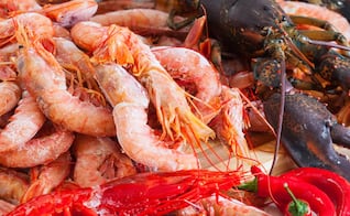 ¿Cómo comprar pescado fresco en Cuaresma?; Profeco revela 8 claves para elegir mariscos seguros y evitar riesgos