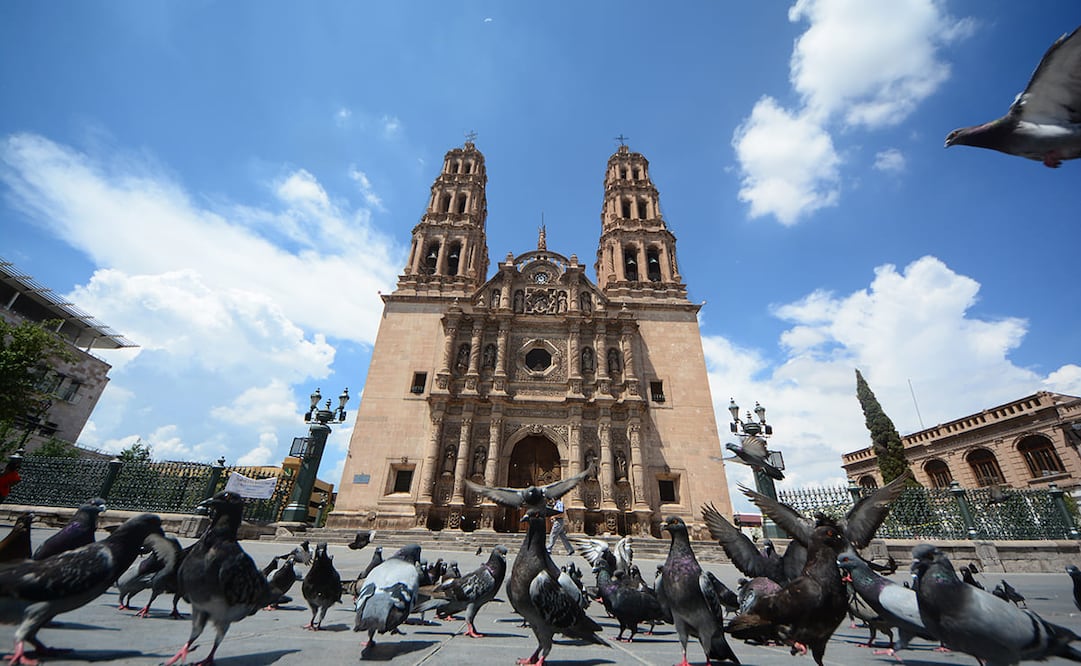 Cortesía: Ah Chihuahua