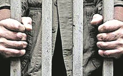 Hombre decapita a un perro chihuahueño de una mordida en Puerto Rico