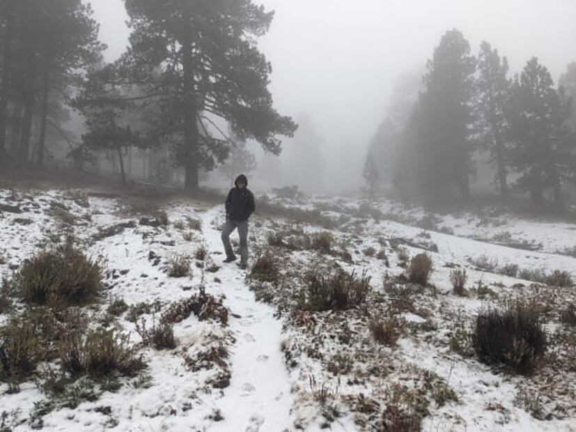 Cae primera nevada en Galeana, Nuevo León