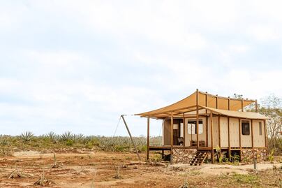 Este safari te lleva a conocer la selva y la fauna de Yucatán
