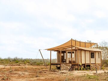 Este safari te lleva a conocer la selva y la fauna de Yucatán
