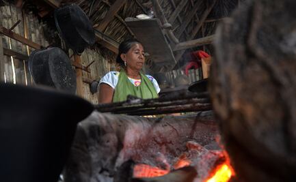 Mujeres de Humo, una rebelión de dos décadas en Veracruz
