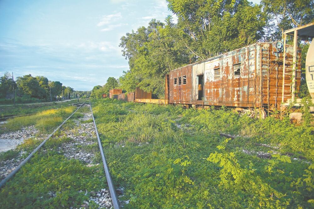 Tren Maya Foto: Archivo\El Universal