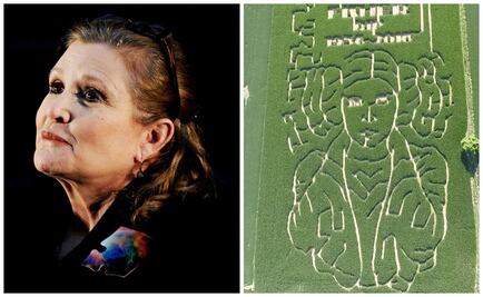 ​Granjero planta maizal en honor a Carrie Fisher 