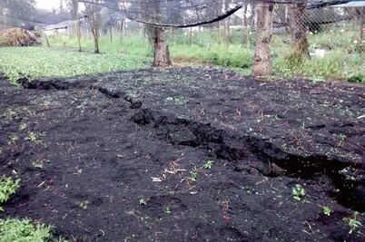 Zona lacustre de Xochimilco, dañada