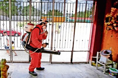 Combate al dengue arroja resultados positivos: informe