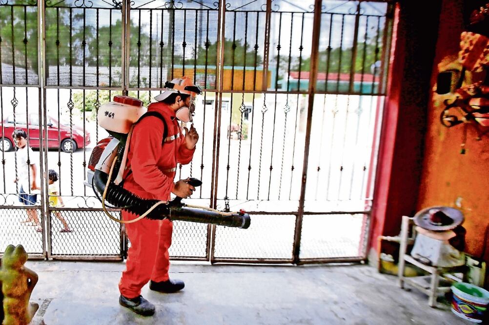 El servicio epidemiológico de Piracicaban, en Brasil, reportó que en el resto del municipio la incidencia de dengue se redujo en 52% (ARCHIVO EL UNIVERSAL)