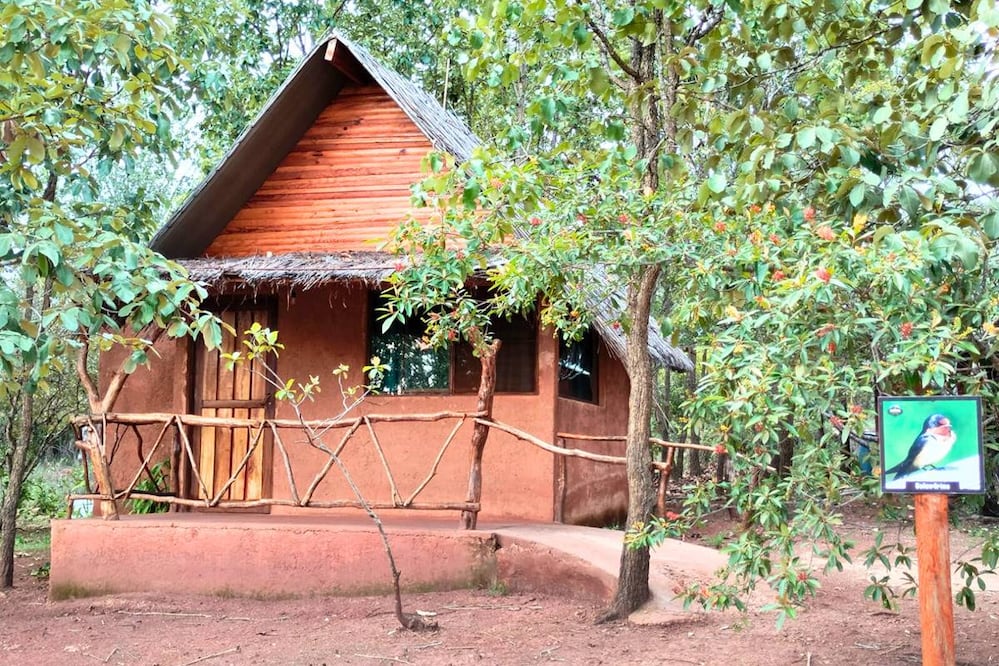 Foto: La Montaña Encantada