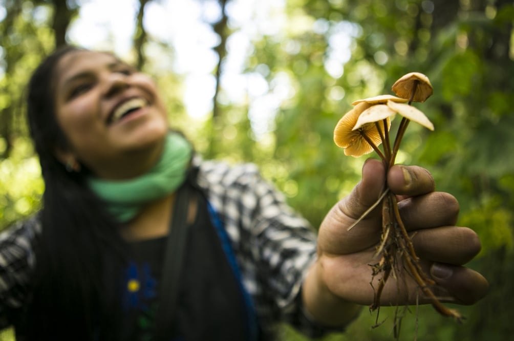 Fotos: El Universal, archivo 