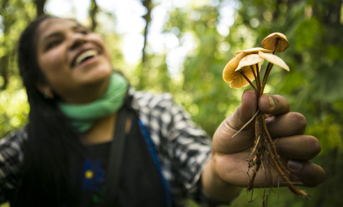 Fotos: El Universal, archivo