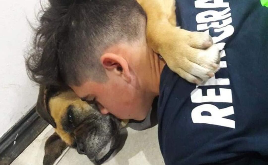 Foto: Facebook / ADAE Perrita muere tras sufrir un ataque de pánico a causa del ruido de la pirotecnia