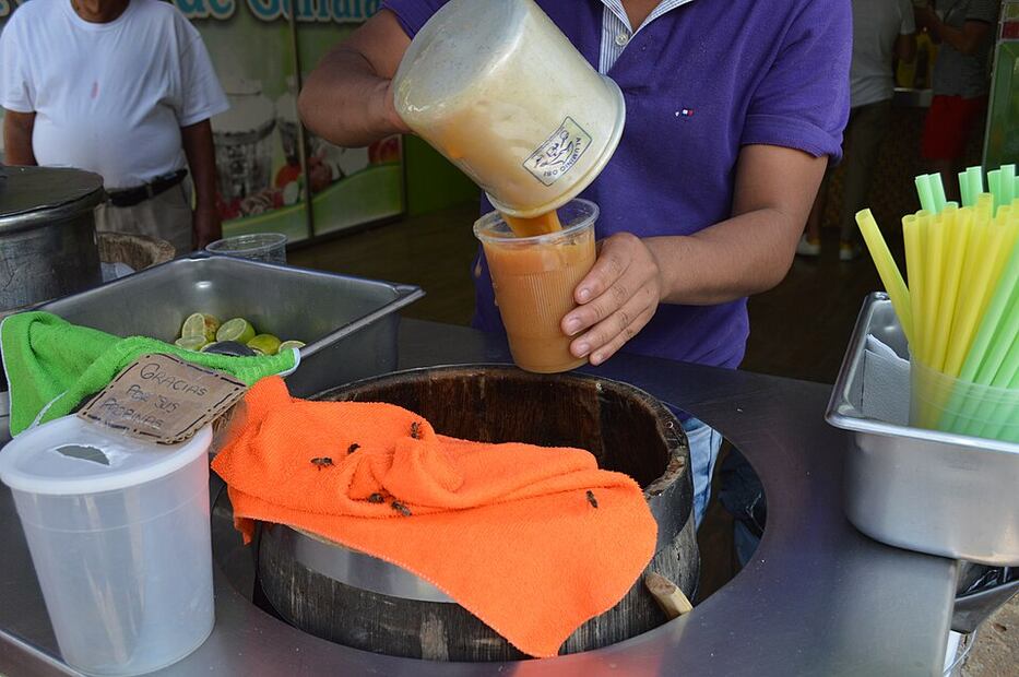 La mayoría de las bebidas de Jalisco son a base del proceso de fermentación. Foto: Wikimedia Commons