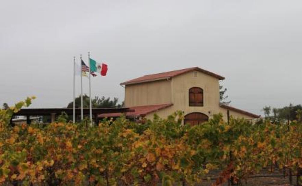 El sueño mexicano: Robledo Winery