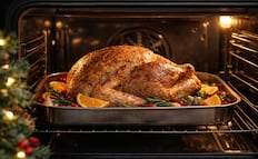 Mexicanos pagarán hasta 25% más por kilo de pavo este 2025: Comecarne; influenza aviar en EU impactó el precio