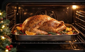 Mexicanos pagarán hasta 25% más por kilo de pavo este 2025: Comecarne; influenza aviar en EU impactó el precio