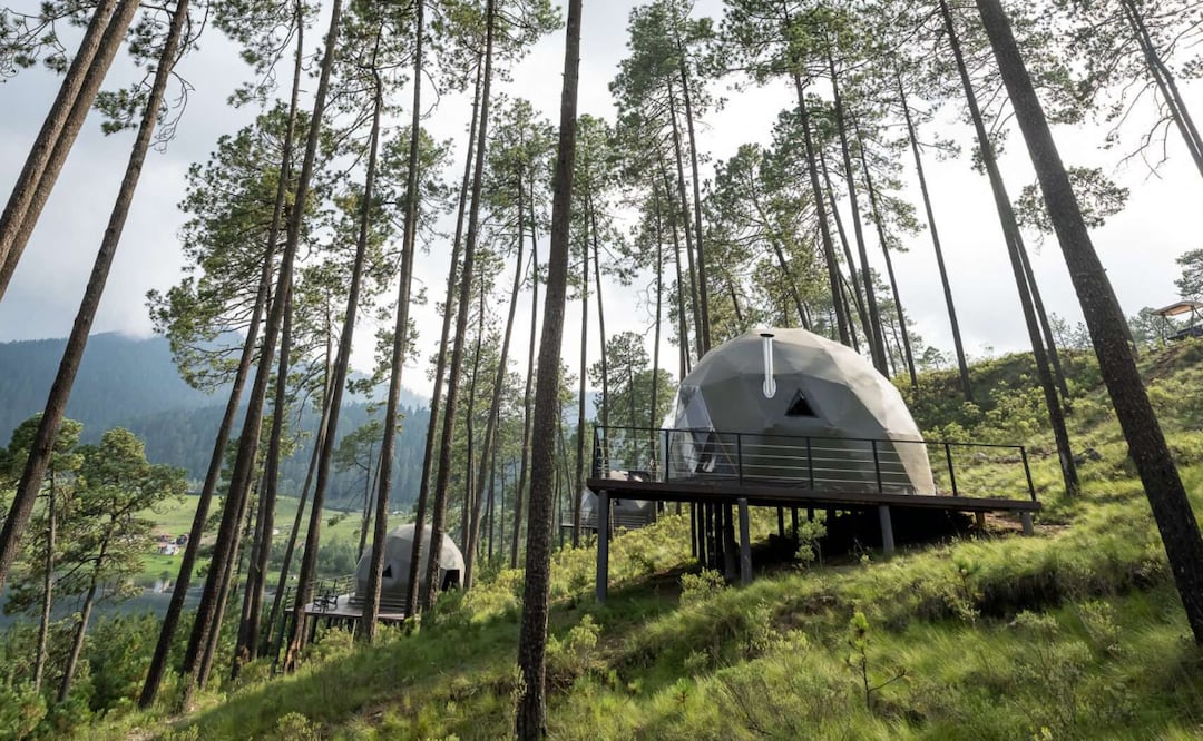 Disfruta el bosque sin renunciar al confort en este glamping. Foto: Lobo Glamp