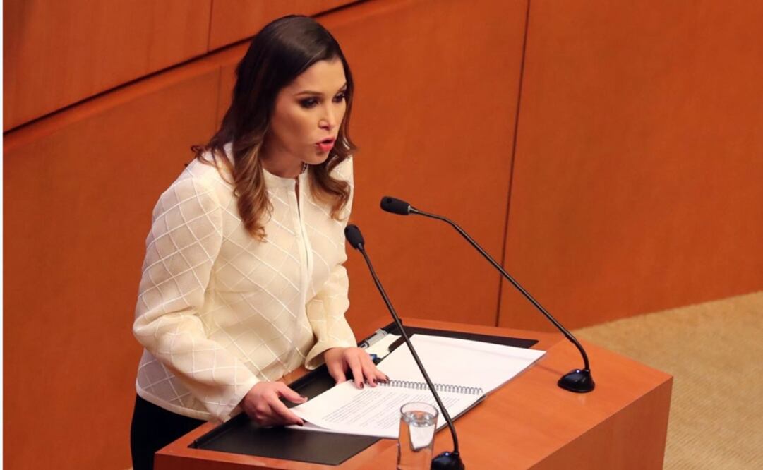 La comisionda presidenta indicó que la Plataforma Nacional de Transparencia se puso en funcionamiento con todos los requisitos legales. (Foto: Lucía Godínez / EL UNIVERSAL)