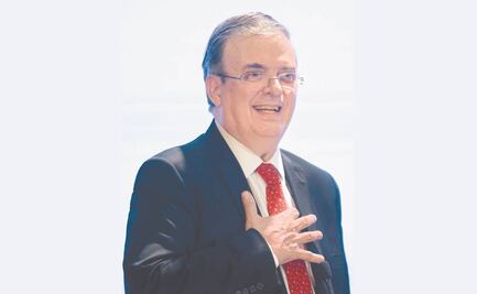 Van por alimañas en Palacio Nacional