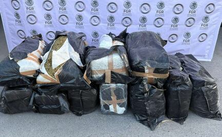 Aseguran 200 kilos de marihuana en General Bravo, Nuevo León; traficante fue detenido
