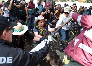 Brugada encabeza recuperación de Barranca Río Mixcoac, la zona en donde más ha llovido esta temporada; recolectan 2 mil 500 toneladas de basura