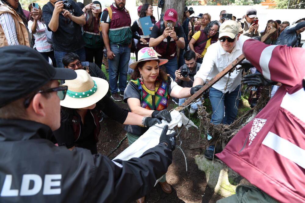 Clara Brugada anunció que la próxima semana dará a conocer el Programa Integral de Rescate de Barrancas de la Ciudad de México. (Foto: especial)